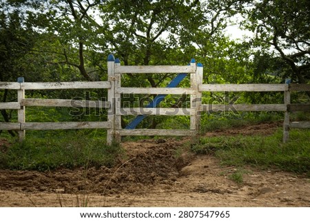This image shows a rustic white wooden fence with a small central gate that has blue painted details.
The structure is situated in a rural or farm setting, with lush green trees in the background.
Enviar comentarios