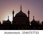 This image shows a silhouette of Brightons Royal Pavilion at dusk