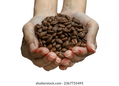 This image shows two hands holding a pile of coffee beans. The coffee beans are roasted and have a rich, dark brown color. The hands are holding the coffee beans carefully and gently, as if they are p