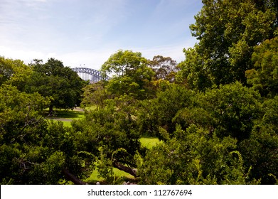 This Image Shows A Vista Within The Royal Botanical Gardens - Sydney, Australia