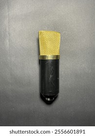 This is an image of a studio condenser microphone with a golden mesh grille and a black cylindrical body, placed against a dark background.