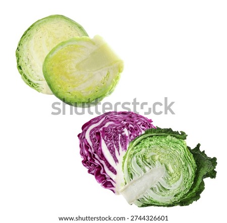 This intriguing photograph presents a split view of three different types of cabbage, all isolated against a clean white background. The composition features two halves of a pale green cabbage, one halved red cabbage displaying its vibrant purple interior, and one halved savoy cabbage showcasing its textured green leaves. This visually informative image is ideal for food styling, educational content about vegetables, or culinary inspiration.