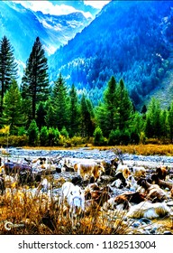 This Is Kumrat Valley.situated In District Upper Dir Kpk Pakistan.A Best Option For Nature Explorer Accross The World.