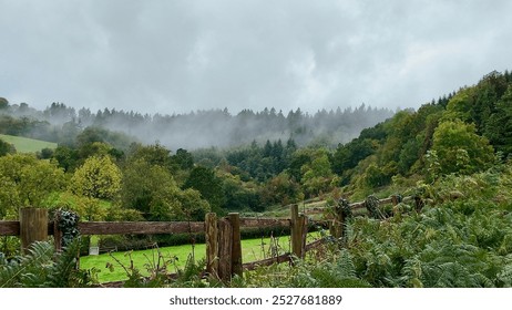 This landscape features a misty forest hillside with lush green trees stretching across the horizon. In the foreground, a rustic wooden fence stands by ferns and shrubs. - Powered by Shutterstock