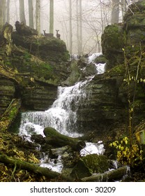 This is a local spring-only waterfall that we've dubbed Deer Falls.  This is why!