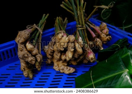 This is the local vegetables which Mizo people from Mizoram state of India uses to cook with vegetables.