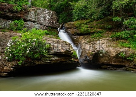 This is a long exposure of Shupe's Chute, a slender cascade nestled between Mountain Laurel (Kalmia latifolia) bushes at Holly River State Park in West Virginia.