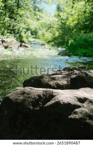 This low-angle shot captures textured rocks in the foreground, bathed in sunlight and shadow. Behind them, a gentle stream flows with glinting highlights, framed by a vibrant, out-of-focus forest.