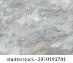 This macro texture presents a raw, unpolished stone surface defined by a complex geological topography of jagged fractures, crystalline facets, and dense mineral layering. The color palette features a neutral combination of light gray, off-white, and medium slate tones, interspersed with faint trace minerals of pale tan and thin white crystalline veins. The unrefined surface structure provides a versatile high-resolution asset optimized for commercial use in luxury branding backdrops, 3D architectural environmental mapping, organic product display backgrounds, and minimalist digital assets. Psychologically, the immovable, multi-layered mineral composition communicates a strong sense of grounding, structural resilience, and absolute permanence, providing an authentic and stabilizing foundation for creative designs.