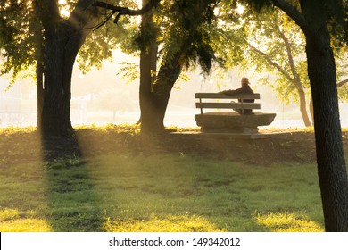 This mature adult male sits on a stone park bench at sunrise, in thought, contemplating life's challenges, surrounding by golden autumn leaves and beams of sunlight. - Powered by Shutterstock