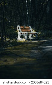 This Is A Memorial Bench On A Beautiful Trail.