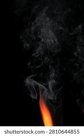 This mesmerizing image features delicate swirls of smoke intertwined with a flicker of flame, set against a dark backdrop. The composition highlights the ethereal beauty of fire and its movement, creating a captivating atmosphere.