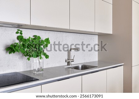This modern kitchen features a sleek design complemented by the vibrant presence of fresh herbs