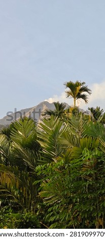 this is mount Sinabung in Karo Regency, Indonesia. view from farming field. 