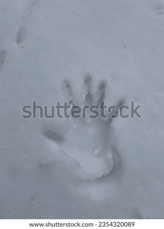 This is my own hand-printed on snow. Taken in January 2023 when I visited Shirakawago Japan.