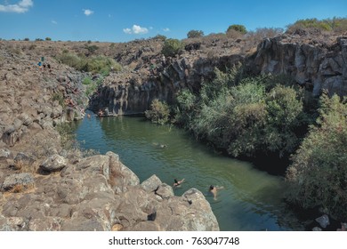 This Natural Spring-fed Pool In The Golan Heights Provides A Cool Spot For A Swim And Shady Relief From The Blazing Hot Sun.  Israel.