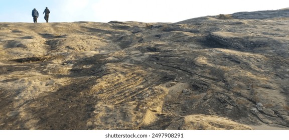 This is a nature image