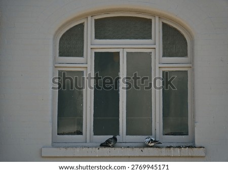 This neoclassical window appears to be a popular roosting site for local pidgeons.                               