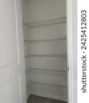This pantry is empty, wire shelving in a closet. Shortage concept