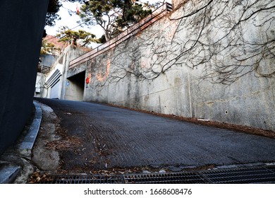 This Is The Parasite Road In The Seoul.  