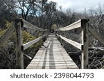 This is a part of a series of photos that I shot at Lake Waco in Waco Texas. This was all in Reynolds Creek Campground. This is a bridge structure in the hiking trails around the park.
