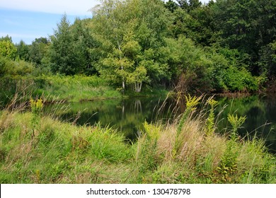 This Pastoral Scene Features A Pond And The Surrounding Foliage During Summer Near The Shore Of Lake Erie In New York State And Very Near The Pennsylvania Border, USA