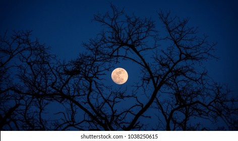Full Moon View From India Hd Stock Images Shutterstock
