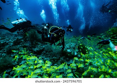 This photo is about scuba diving in the Maldives Islands. Starting from Male Airport, the photos range from underwater shots to mermaid shots by boat. This photo is about scuba diving in the Maldives - Powered by Shutterstock