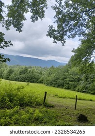 This photo was captured while I was walking a trail at Cades Cove in Tennessee. the photo captures the Open Fields with the mountains in the distance.