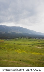 This Photo Depicts The Peace And Heavenly Beauty That Prevails In The Valley Of Kashmir Which Has Been Engulfed By The Terrorism, Gulmarg, Kashmir, India.