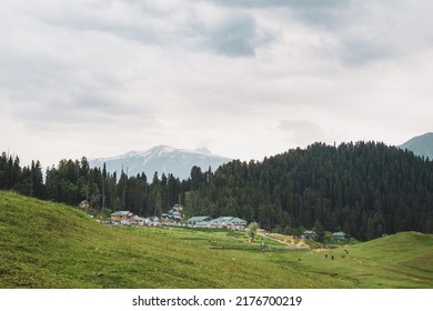 This Photo Depicts The Peace And Heavenly Beauty That Prevails In The Valley Of Kashmir Which Has Been Engulfed By The Terrorism, Gulmarg, Kashmir, India.