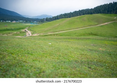 This Photo Depicts The Peace And Heavenly Beauty That Prevails In The Valley Of Kashmir Which Has Been Engulfed By The Terrorism, Gulmarg, Kashmir, India.