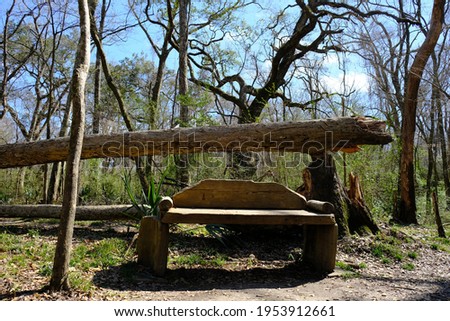 This is a photo of a handmade outdoor bench in the hiking trails of Acadiana Park within Lafayette Louisiana.