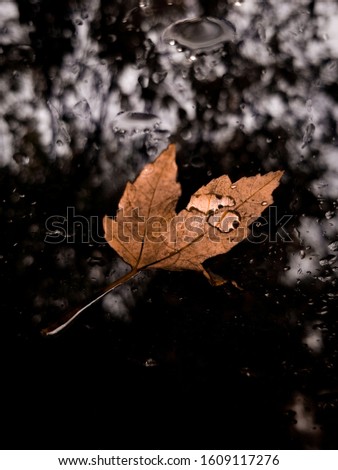 Similar – Foto Bild Erster oder letzter Schnee? *Für Helgi*