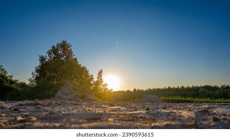 This photo offers a unique, very low angle view of a spectacular sunrise. As the sun emerges from behind a bush, its radiant light bathes a farmfield and a quaint dirt road in warm, golden hues