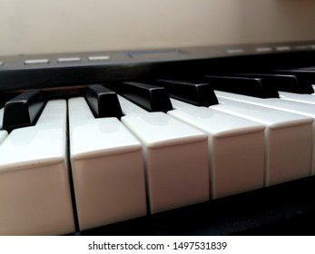 This Is Photo Of The Piano Keys, Synth Keys... 