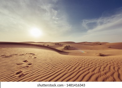 This photo represents a hot desert - Shutterstock ID 1481416343