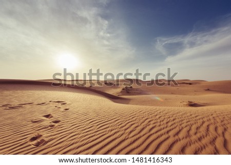 This photo represents a hot desert
