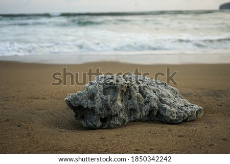 This is a photo of a rock