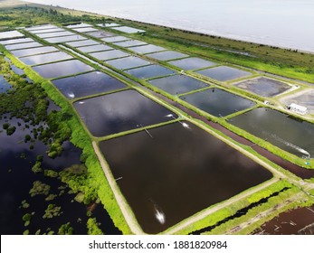 This Photo Showing That The Modern Commercial Aquaculture Fish And Prawn Farm In Malaysia.