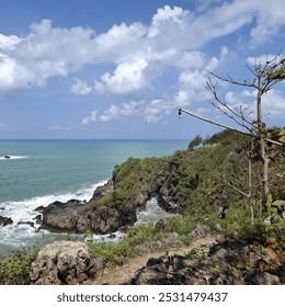 This photo shows a coastal scene with rocky green cliffs, turquoise waters, and a bright sky with scattered clouds. A bare tree with a hanging light is visible on the right. - Powered by Shutterstock