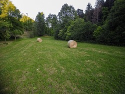 This Photo Shows A Round Hay Bale In The Foreground Of A Rural Landscape. The Background Has Trees And Power Lines. The Photo Has A Clear Sky And Long Shadows. 