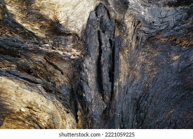 This Photo Shows The Texture Of A Burning Tree Trunk.