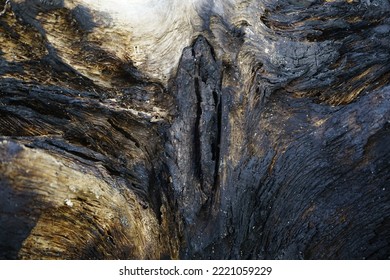 This Photo Shows The Texture Of A Burning Tree Trunk.