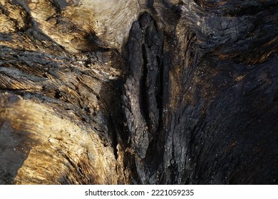 This Photo Shows The Texture Of A Burning Tree Trunk.