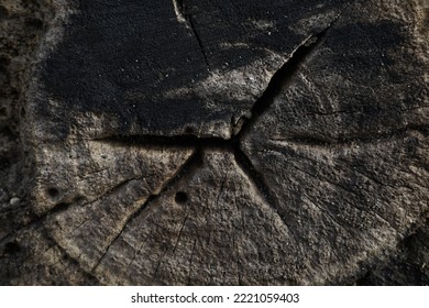 This Photo Shows The Texture Of A Burning Tree Trunk.