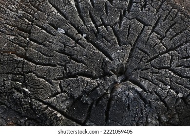 This Photo Shows The Texture Of A Burning Tree Trunk.