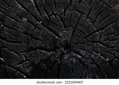 This Photo Shows The Texture Of A Burning Tree Trunk.