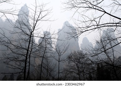 This photo was taken on a very misty day in the area of Tianzi mountain (天子山), stunning rock formations and tree emerge from the mist creating a unique scenery in winter.