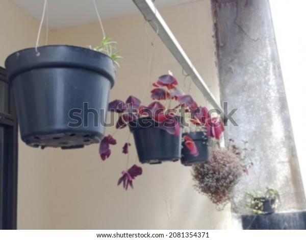 This photo was taken out of focus\
and blurry, hanging flower pots adorn the front of the\
house